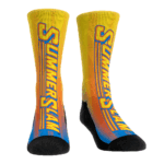 SummerSlam Throwback (1995-1997)